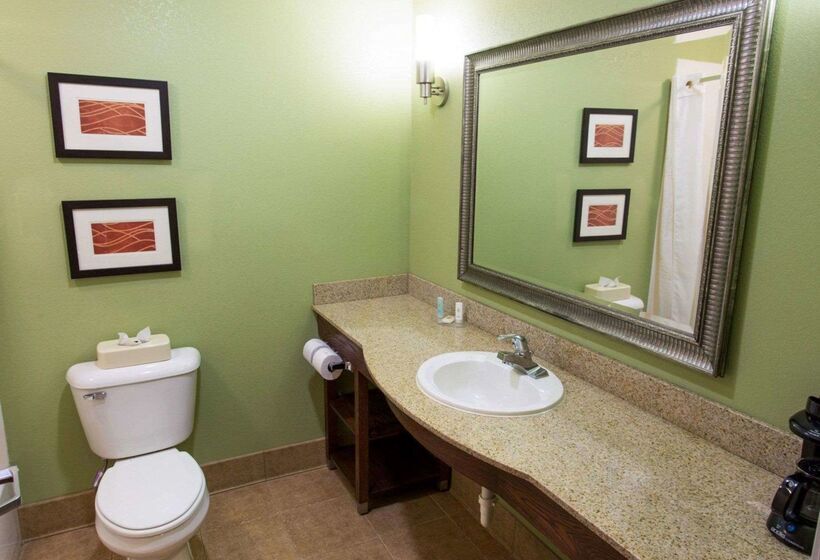 Отель Comfort Inn New Orleans Airport South