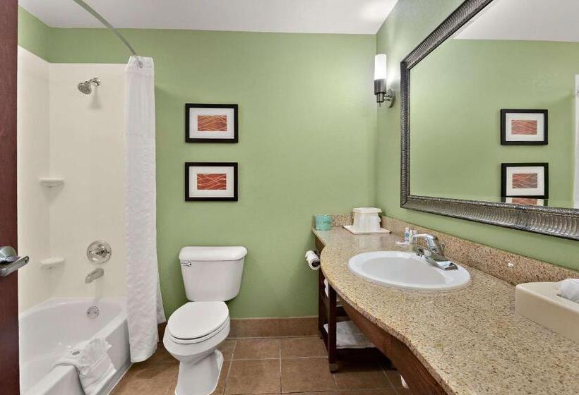 Отель Comfort Inn New Orleans Airport South