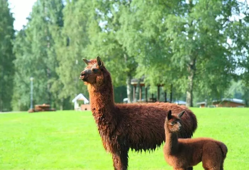 ホテル Haapasaari Feriendorf