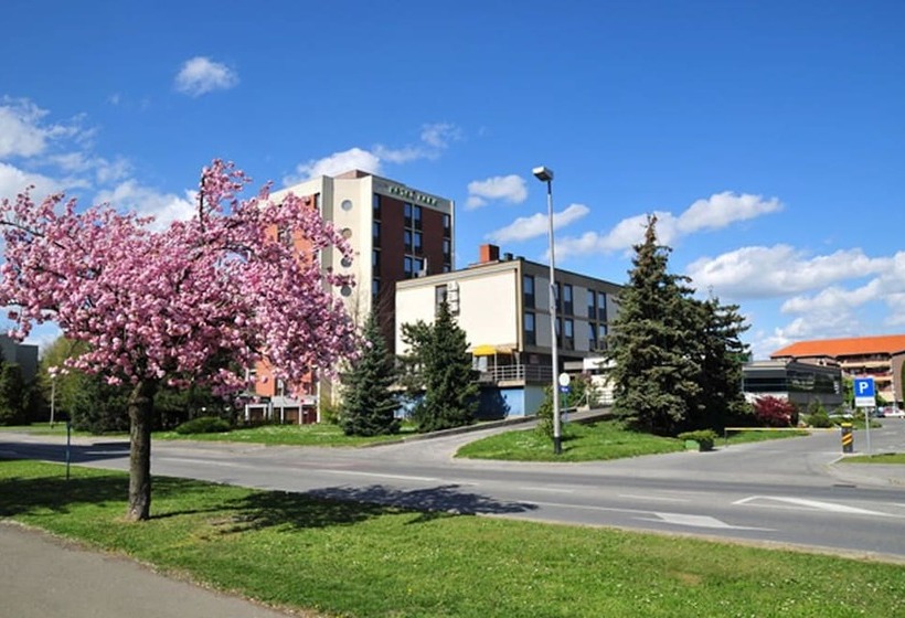 בית מלון כפרי Park