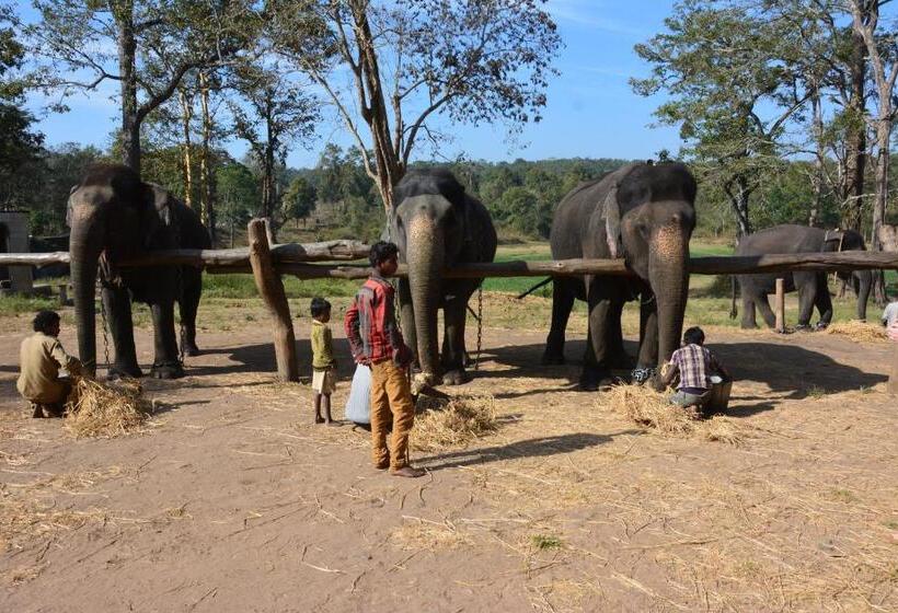 בית מלון כפרי Red Earth Kabini