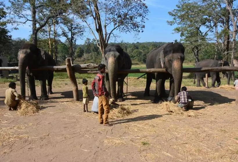 Hotel Red Earth Kabini