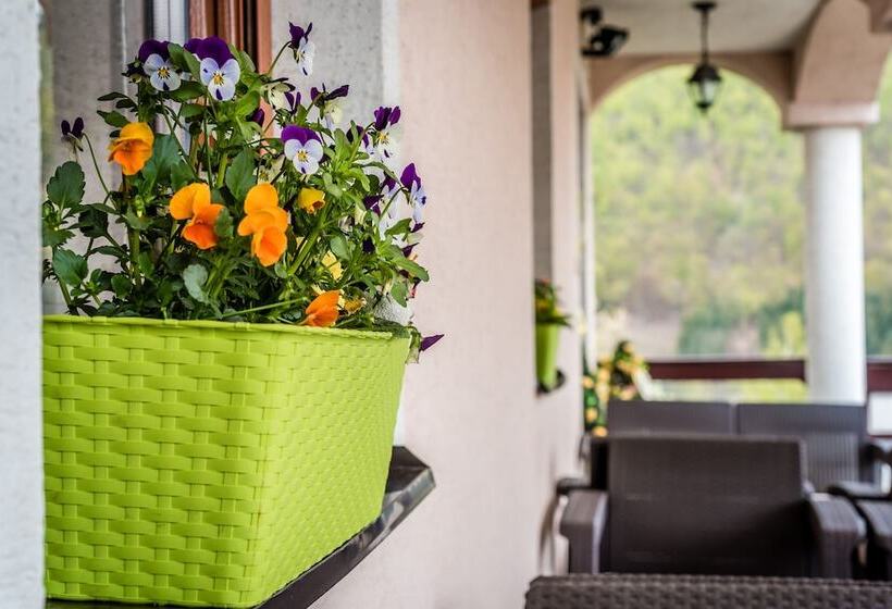 Отель Vila Viktoria