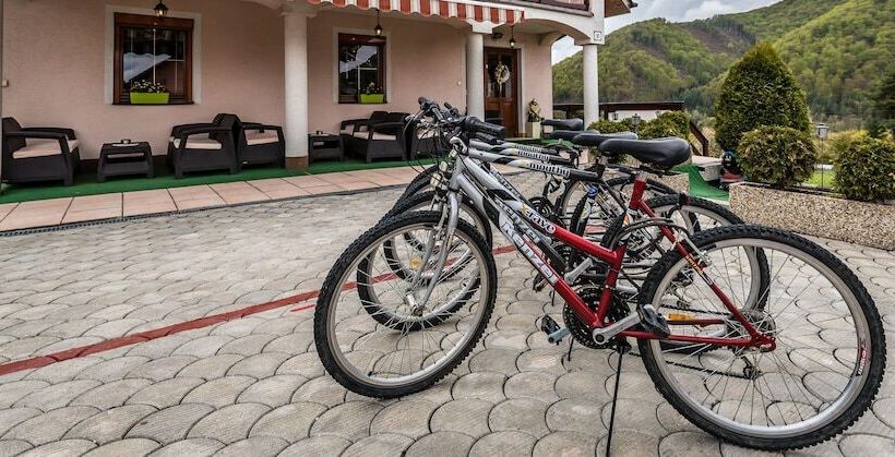 Отель Vila Viktoria