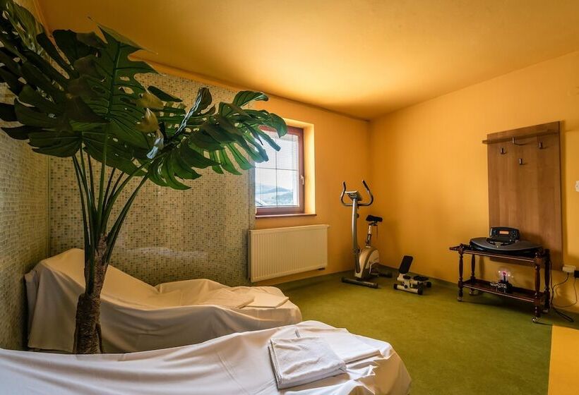 Отель Vila Viktoria