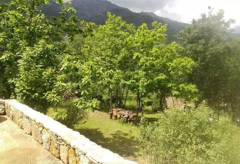 ペンション Villa Praesidio