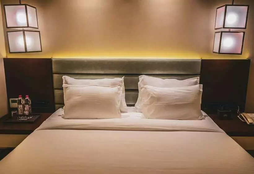 Hotelli Avinash International