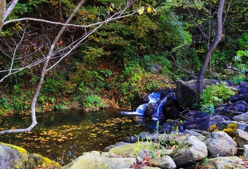 Hotel Gokseong Sorigonggan Pension