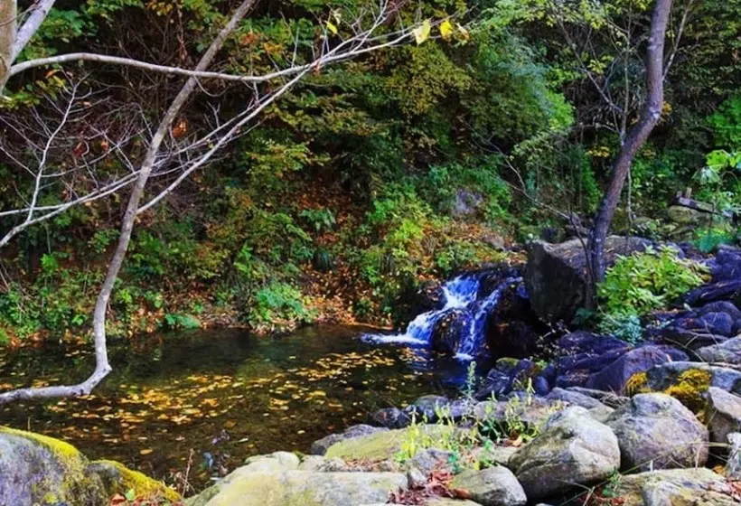 Hotelli Gokseong Sorigonggan Pension