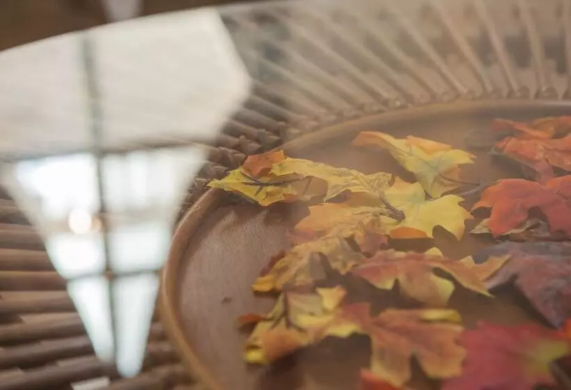 هتل Happy Casa Resorts