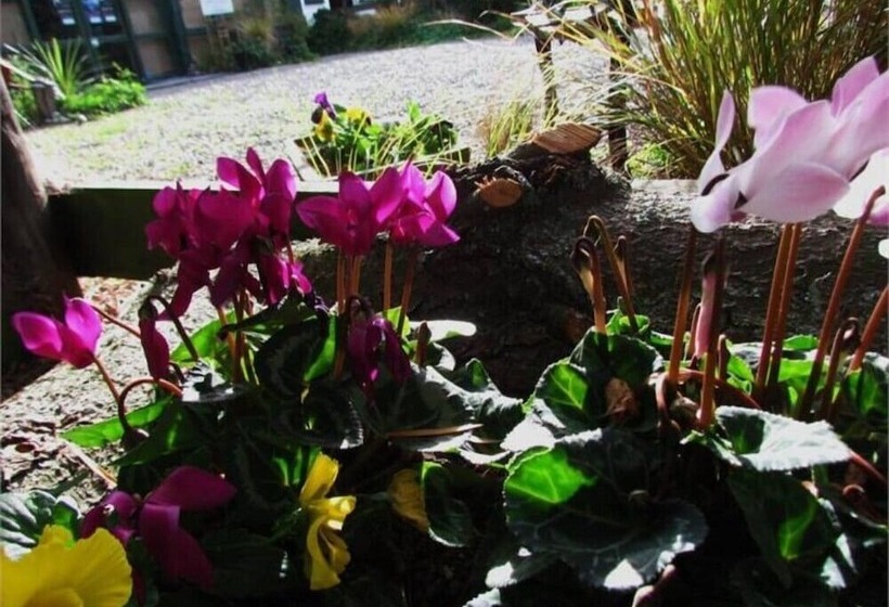 هتل Christchurch City & Country Cottages Nut Point Cottage