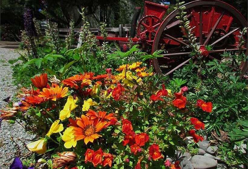 هتل Christchurch City & Country Cottages Nut Point Cottage