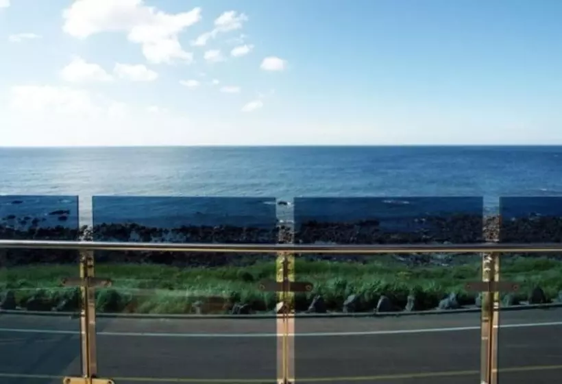 Pension Jeju Picnic Story