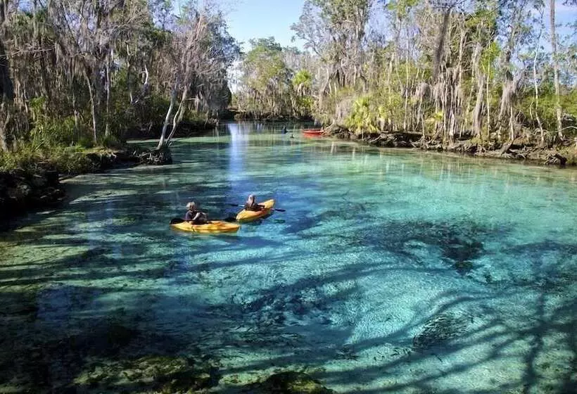 Hotelli King S Bay Lodge