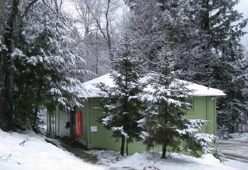 ホテル The Woods Lodge