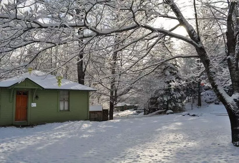 Hotelli The Woods Lodge