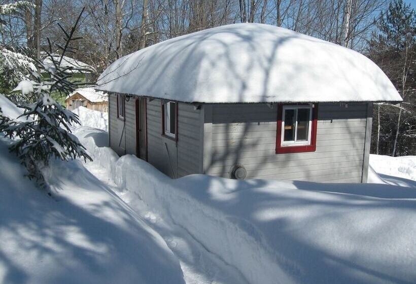 ホテル The Woods Lodge