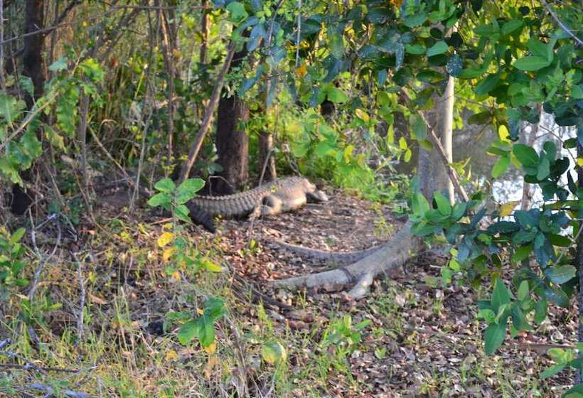 هتل Kruger Park Lodge Golf Safari Sa