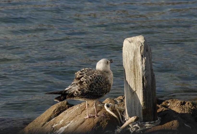 Bella Vista Design Studios