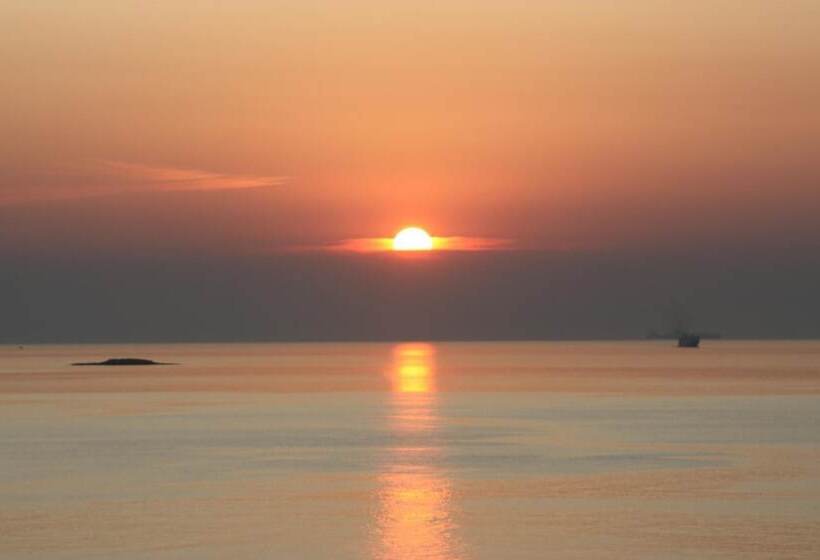 Bella Vista Design Studios