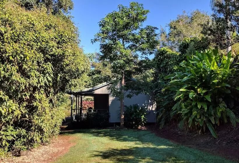 هتل Alstonville Country Cottages