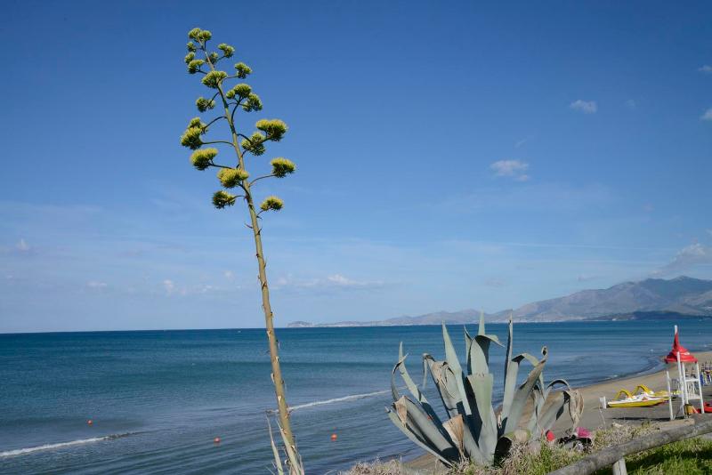ホテル Happy Camp Mobile Homes In Villaggio Camping Baia Domizia