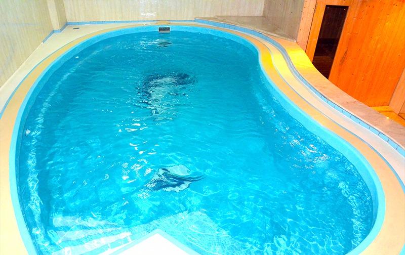 Отель Crown Tower