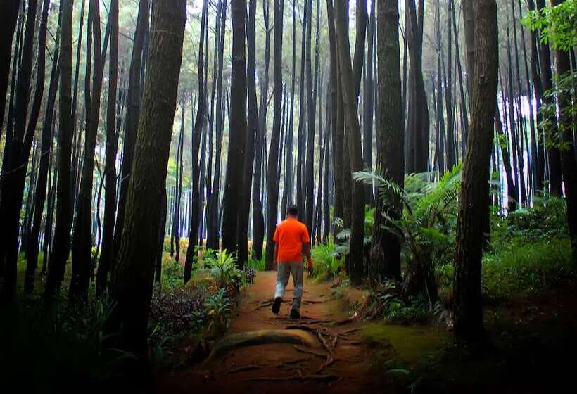 Harris Hotel Sentul City Bogor