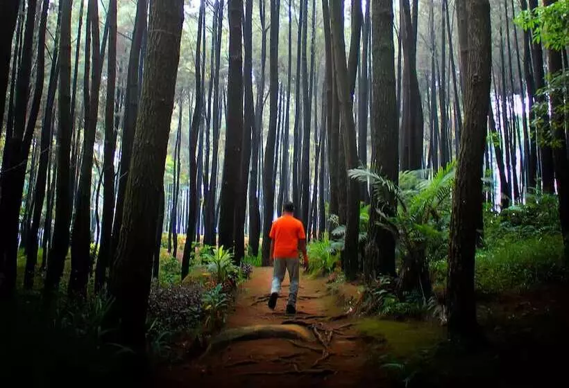 Harris Hotel Sentul City Bogor