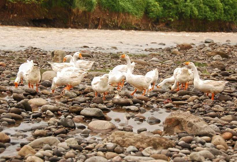 Puri Asri Hotel & Resort