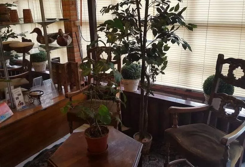 בית מלון כפרי Railef