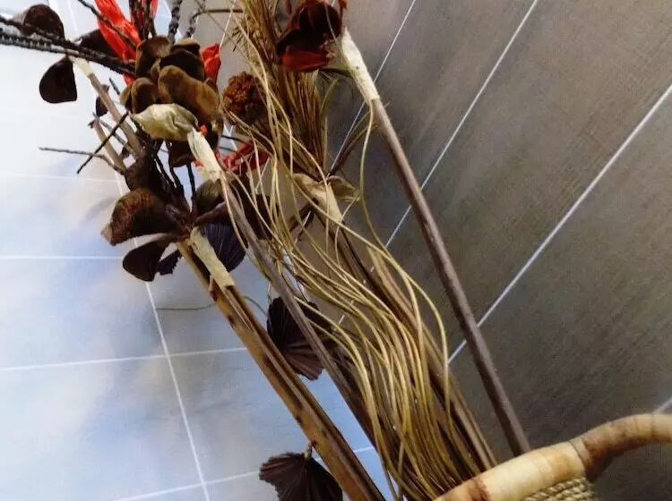 فندق Residence Villa Del Mare