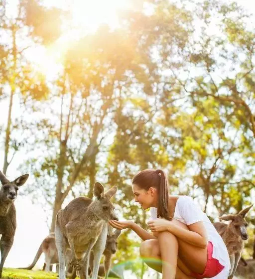 Toowong Central Motel Apartments