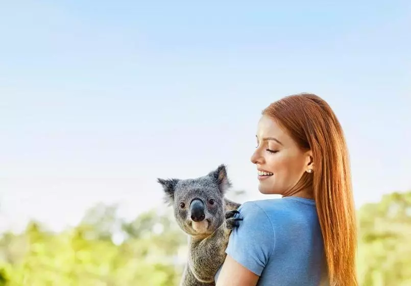Toowong Central Motel Apartments