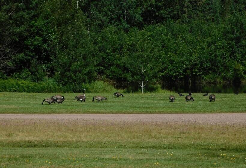 酒店 Amerivu Inn And Suites