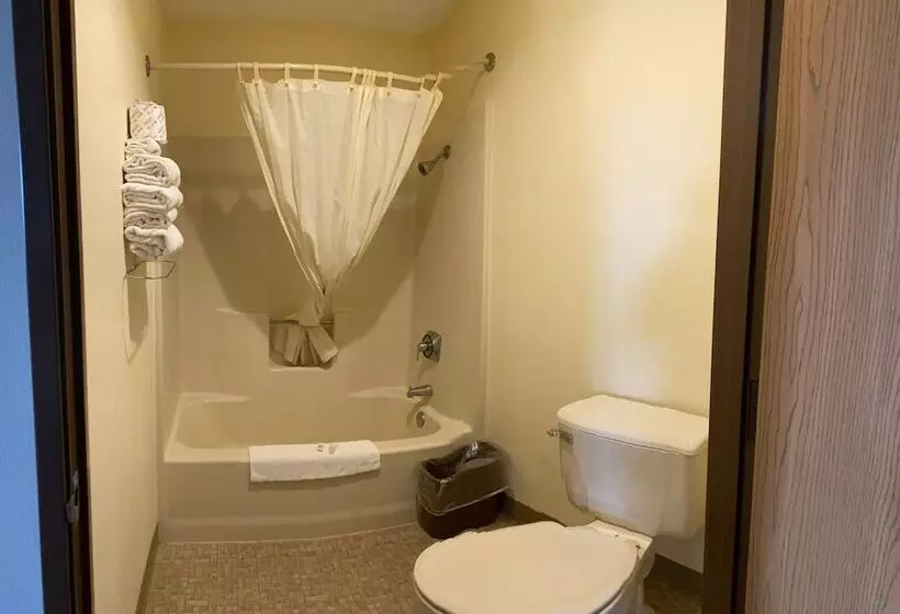 ホテル Amerivu Inn And Suites