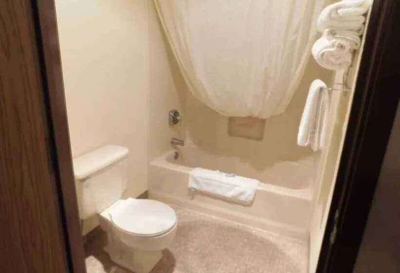 ホテル Amerivu Inn And Suites