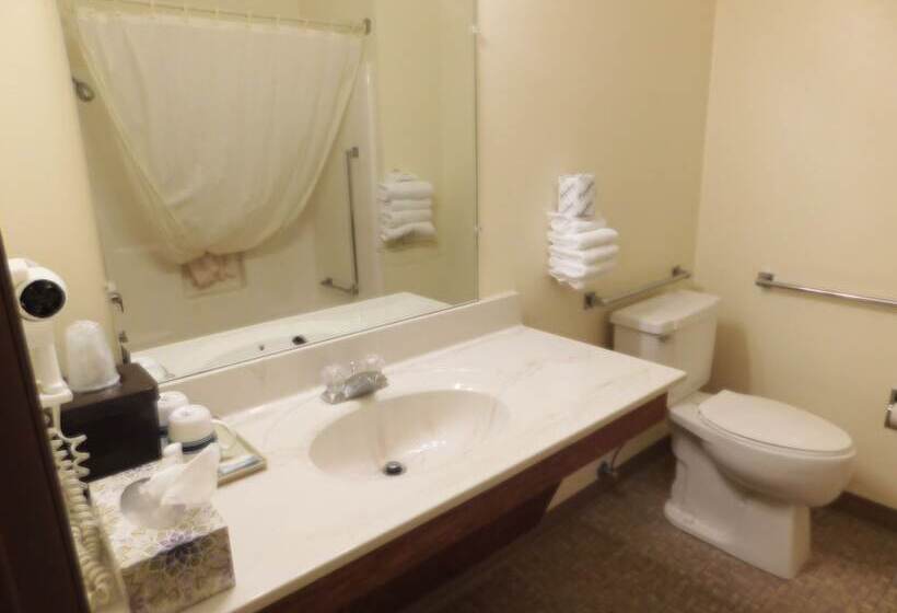 酒店 Amerivu Inn And Suites