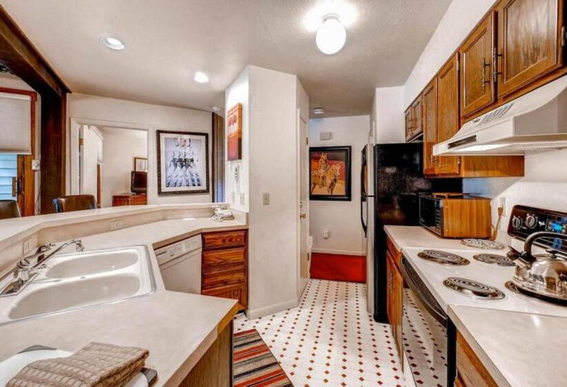 هتل Lodge At Steamboat A106