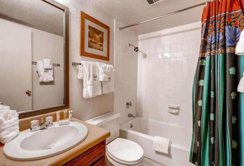 هتل Lodge At Steamboat A106