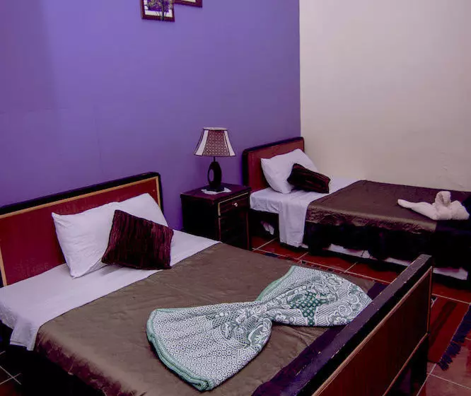 Horus Eye Hostel