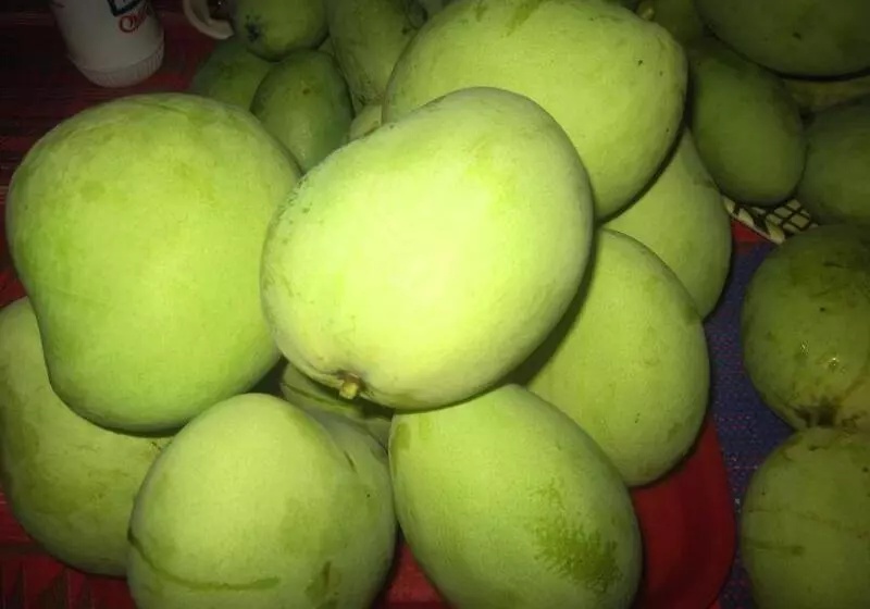 ホテル 67th Heaven Holiday Resort