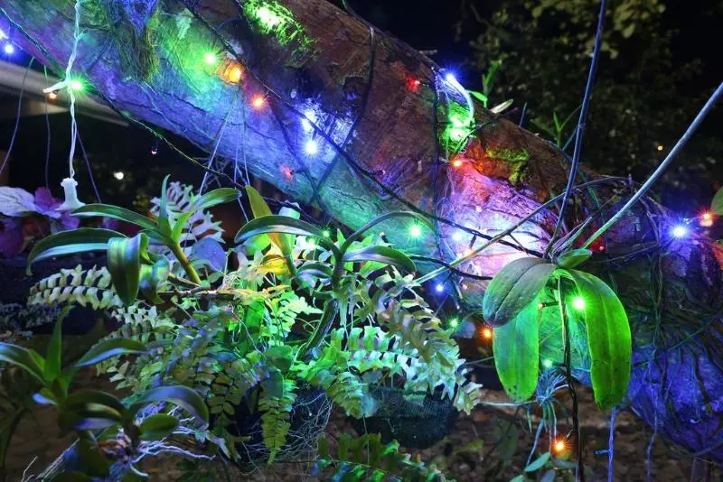 ホテル 67th Heaven Holiday Resort