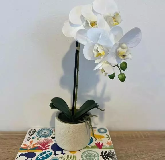 בית מלון כפרי Academy Motor Inn