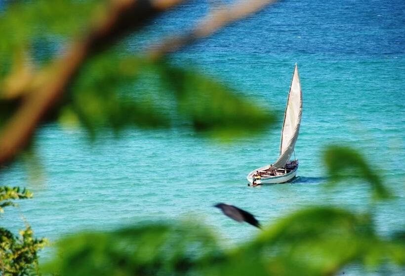 בית מלון כפרי Casa Rex By Sol Resorts