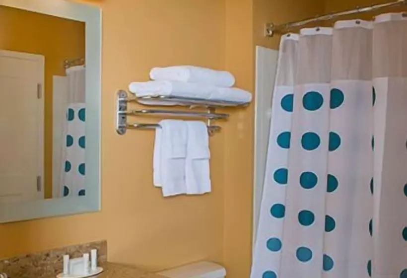 בית מלון כפרי Towneplace Suites By Marriott Bangor