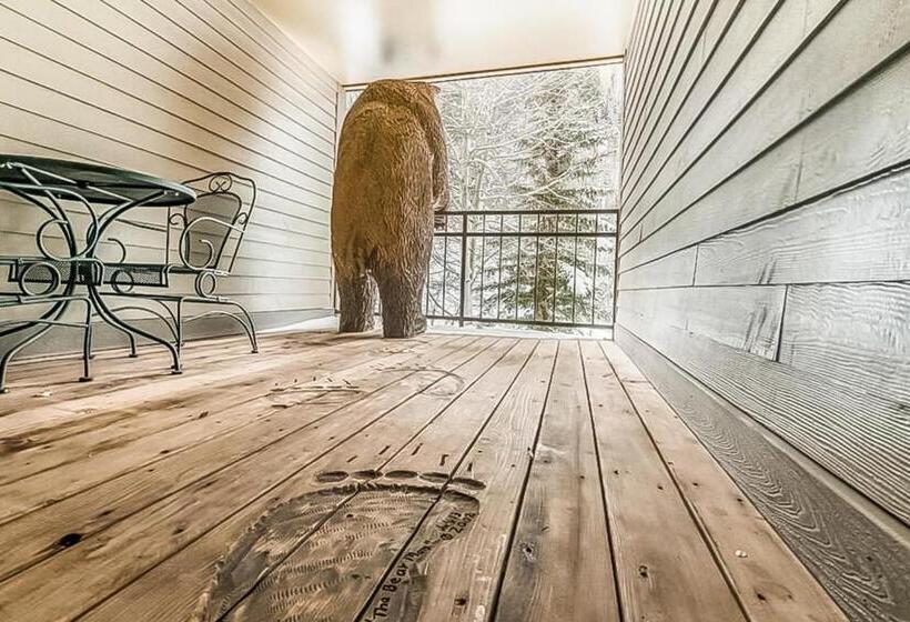 فندق Cimarron Mountain Retreat