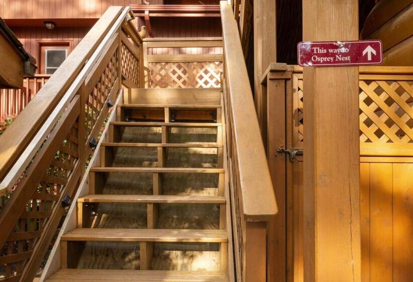 酒店 Osprey Nest