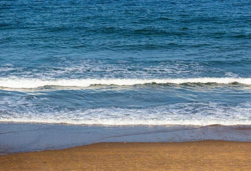 בית מלון כפרי Provincetown Paradise