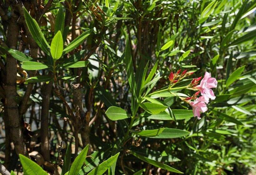 酒店 Village Manor A12